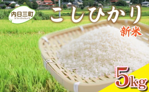 【先行予約】令和7年度米 コシヒカリ 5kg 山口県産 特別栽培エコ50 (化学農薬・肥料50%以上削減/精米まで一貫加工) 【2026年1月より順次発送】山口県下関市15000米・パン白米