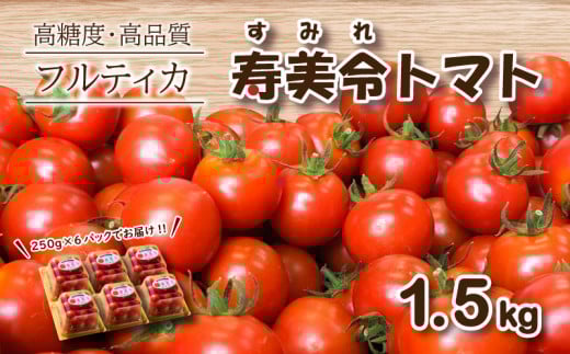 【 1月発送 】 寿美令トマト フルーツトマト 1.5kg ( 250gパック×6個 ) 選べる 発送 月 野菜 新鮮 プチトマト 期間限定 小分け 季節限定 トマト 下関 山口山口県下関市15000野菜・きのこトマト
