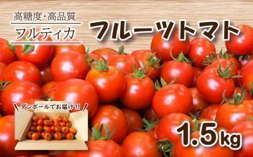 【 4月発送 】 フルーツトマト フルティカ 1.5kg ミニトマト 選べる 発送 月 野菜 新鮮 プチトマト 期間限定 季節限定 トマト 下関 山口山口県下関市14000野菜・きのこトマト