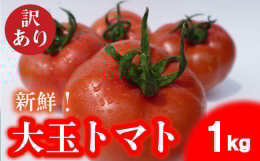 トマト 大玉 訳あり 1kg 野菜 産地直送 お試し 高糖度 リコピン ビタミンC 美容 ご自宅用 栄養 甘い おいしい  下関 山口  【2026年4月中旬以降の発送 】【 期間限定 】山口県下関市7000野菜・き
