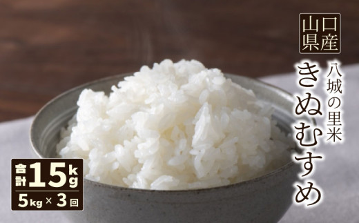 【定期便 3ヶ月】きぬむすめ 精米 5kg 計15kg山口県下関市42000米・パン白米