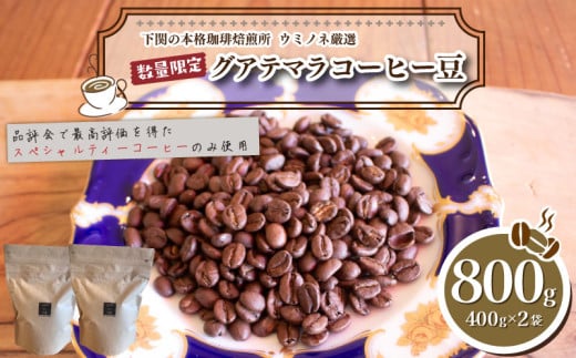 y[z  󂠂 R[q[ 800g ( 400g × 2 ) ʌ OAe}    RR֎s15000ER[q[Eg