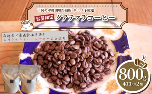 yz 󂠂 R[q[ 800g ( 400g × 2 ) ʌ nhhbv OAe}   RR֎s15000ER[q[Eg