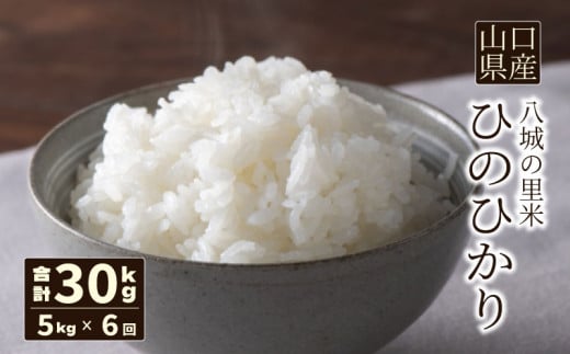 【定期便 6ヶ月】ひのひかり 精米 5kg  計30kg山口県下関市84000米・パン白米