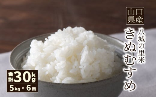 【定期便 6ヶ月】きぬむすめ 精米 5kg  計30kg山口県下関市84000米・パン白米