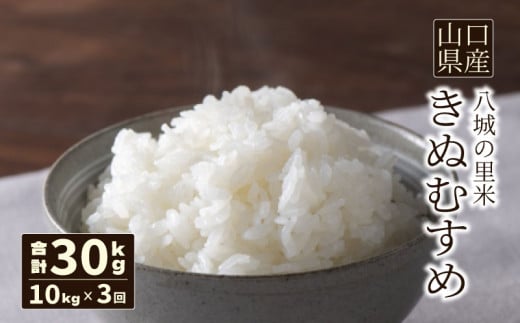 【定期便 3ヶ月】きぬむすめ 精米 10kg  合計30kg 令和7年度米山口県下関市78000米・パン白米