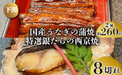 国産 うなぎ の 蒲焼 2尾 約260g 特選 銀だら の 西京焼  8切れ セット 冷凍 関西風 鰻 魚 高級魚 ウナギ 九州産 蒲焼き かばやき うな重 ひつまぶし タレ 山椒 銀鱈 銀ダラ ギンダラ ぎんだら 焼
