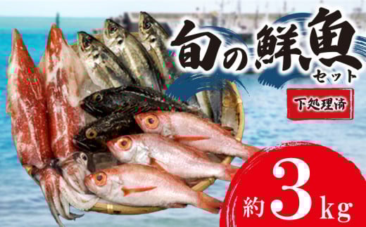 旬 の 鮮魚 ボックス 約 3kg 赤いか のどぐろ アジ 処理済み 詰め合わせ  天然 下処理 済み おまかせ お楽しみ 魚 魚介 旬 春 夏 秋 冬 中元 歳暮 年末年始 下関 山口山口県下関市30000魚介・海産