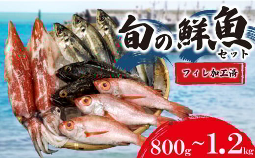 旬 の 鮮魚 ( フィレ 加工 ) 約 800g 〜 1.2kg 鮮魚 ボックス  処理済み 詰め合わせ 赤いか のどぐろ アジ 天然 下処理 済み おまかせ お楽しみ 魚 魚介 フィーレ 旬 春 夏 秋 冬 中元 歳暮 年末年始
