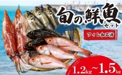 旬 の 鮮魚 ( フィレ 加工 ) 約 1.2kg ~ 1.5kg 鮮魚 ボックス  処理済み 詰め合わせ 赤いか のどぐろ アジ 天然 下処理 済み おまかせ お楽しみ 魚 魚介 フィーレ 旬 春 夏 秋 冬 中元 歳暮 年末年始