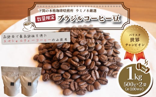【細挽き】 訳あり コーヒー豆 1kg ( 500g × 2袋 )  ブラジル レッド カトゥアイ 数量限定 ( コーヒー 珈琲 出荷当日 自家焙煎 スペシャルティコーヒー ホットコーヒー アイスコーヒー コーヒー