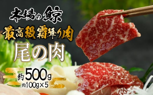 ~ (  ) ~  500g  Ⓚ  ܂ hg hg bP Jc cg g {  ~ Ԑg ubN  p  Ε  e _CGbg ς