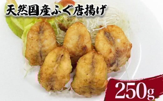 VR Y ӂ g 250g ( N  CN tO ͓ C̍K Hi y g y ֗  ȒP g邾  ͂̂   [H  ܂  r[ ) 