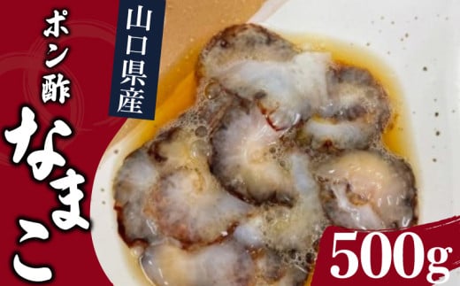 山口県産ポン酢なまこ 500g 冷凍 新鮮 赤なまこ ナマコ 高級 魚介 海鮮 酒 おつまみ 下関 山口山口県下関市11000魚介・海産物その他 魚介・海産物
