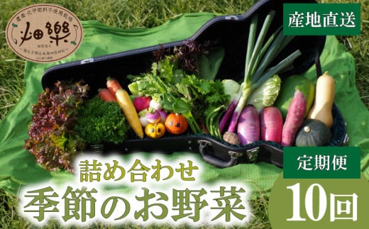 旬 の 野菜 詰め合わせ セット 10回 定期便 7 ~ 9 品【2025年5月以降順次発送】 お楽しみ 産地直送 農家直送 季節 春 夏 秋 冬 露地野菜 やさい サラダ 農薬 化学肥料 不使用 下関 山口山口県下関