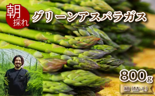 【先行予約 】 アスパラガス 800g 細サイズ 朝採れ M~L 大容量 アスパラ 有機肥料使用 サイズ混合 訳あり セット 野菜 新鮮 夕飯 おかず お弁当 新鮮アスパラ 秀吉農園 菊川町 下関 山口 【2025