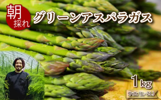 【 先行予約 】 アスパラガス 1kg 中太サイズ 朝採れ L~2L 大容量 アスパラ 有機肥料使用 サイズ混合 訳あり セット 野菜 新鮮 夕飯 おかず お弁当 新鮮アスパラ 秀吉農園 菊川町 下関 山口 【20