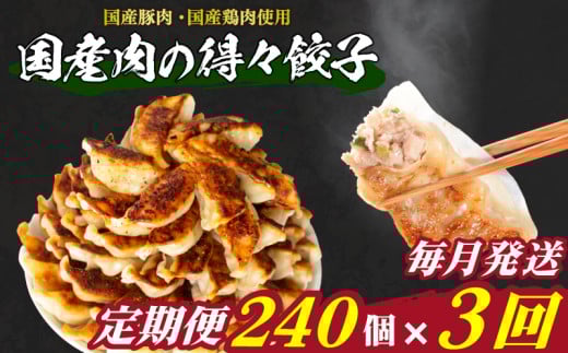 訳あり 国産肉の得々餃子 3回 毎月 定期便 240個 20個×12パック 冷凍 小分け たれ付き 大容量 ぎょうざ ギョウザ ギョーザ山口県下関市30000鍋セット・総菜・加工食品総菜