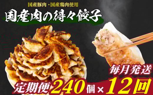 訳あり 国産肉の得々餃子 12回 毎月 定期便 240個 20個×12パック 冷凍 小分け たれ付き 大容量 ぎょうざ ギョウザ ギョーザ山口県下関市120000鍋セット・総菜・加工食品総菜