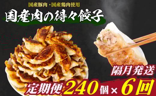 訳あり 国産肉の得々餃子 6回 隔月 定期便 240個 20個×12パック 冷凍 小分け たれ付き 大容量 ぎょうざ ギョウザ ギョーザ山口県下関市60000鍋セット・総菜・加工食品総菜