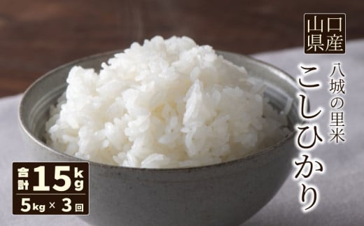 【定期便 3ヶ月】こしひかり 精米 5kg 計15kg山口県下関市45000米・パン白米