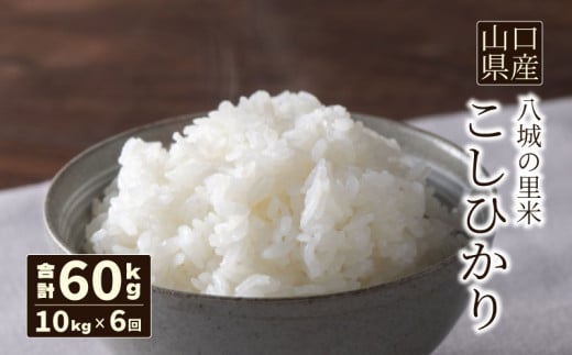 【定期便 6ヶ月】こしひかり 精米 10kg 計60kg山口県下関市162000米・パン白米