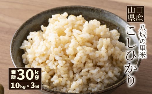 【定期便 3ヶ月】こしひかり 玄米 10kg 計30kg山口県下関市75000米・パン白米