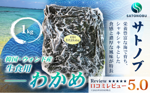 わかめ 1kg山口県下関市6000魚介・海産物その他 魚介・海産物