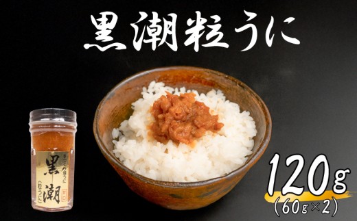 粒ウニ 120g うに 塩うに 粒うに 雲丹 瓶詰 瓶 ビン 海鮮 魚介 新鮮 人気 珍味 父の日 母の日 お中元 お歳暮 年末 年始 ギフト プレゼント 贈り物 贈答 感謝 高級 人気うに 瓶ウニ好きにおスス