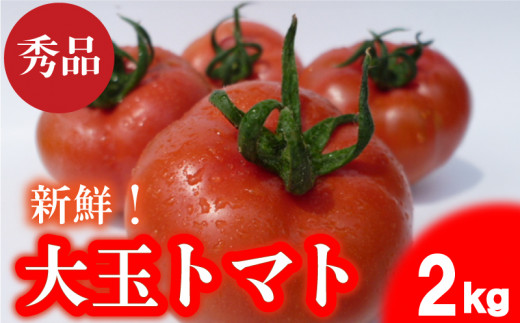 2Sサイズ  (28玉〜30玉) 2kg【 期間限定 】 トマト 大玉 秀品 2kg 野菜 産地直送  赤土 高糖度 リコピン ビタミンC 美容  栄養 甘い おいしい  下関 山口 【2026年4月からの発送】【 期間限定 】山口