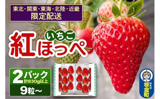 【東北・関東・東海・北陸・近畿 限定配送】いちご「紅ほっぺ」9粒〜 (2パック計830g以上)【12月中旬から順次発送】イチゴ 苺 あまい 1粒35g以上の特大粒を厳選 産地直送ならではの大きさ