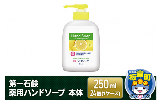 Ό pnh\[v { 250ml×24i1P[XjQnq22000G݁EpioXEʗpi