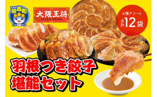 大阪王将 羽根つき餃子堪能セット(4種アソート)計12袋群馬県板倉町11500鍋セット・総菜・加工食品総菜