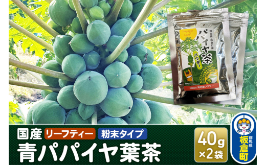 QnqY ppCti40g×2܁j[teB[ ^Cv Y t[c ʕ 썑 gsJQnq11000E