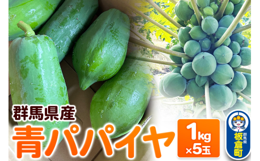 【発送期間限定】青パパイヤ 5kgセット(1kg×5玉)群馬県産 国産 フルーツ 果物 南国 トロピカル群馬県板倉町14000果物・フルーツその他 果物・フルーツ