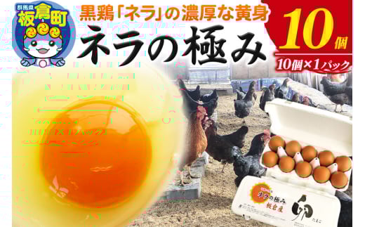 ネラの極み 卵 たまご 10個(10個×1パック)群馬県板倉町6000卵・乳製品卵(鶏、烏骨鶏等)