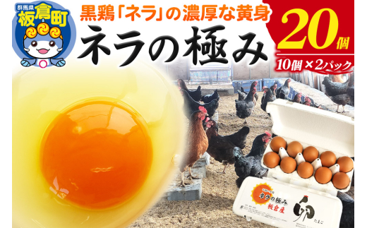 ネラの極み 卵 たまご 20個(10個×2パック)群馬県板倉町8500卵・乳製品卵(鶏、烏骨鶏等)