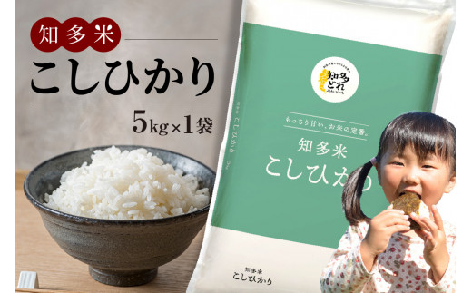 知多米 こしひかり5kg / お米 白米 うるち米 コシヒカリ 愛知県 特産品愛知県知多市18000米・パン白米