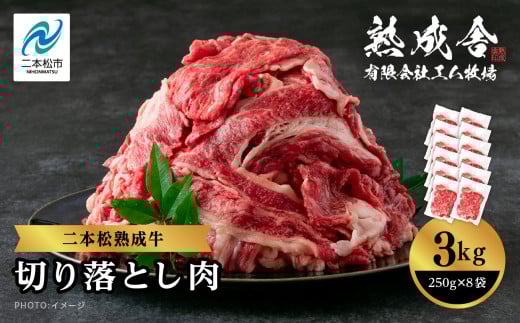 二本松熟成牛 切り落とし3kg(250g×12袋)小分け 牛肉 肉 切落し 薄切り 部位 お取り寄せ グルメ 牛丼 炒めものに ギフト プレゼント おすすめ お中元 お歳暮 ギフト 二本松市 ふくしま 福島県