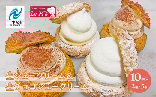 生シュークリームと生チョコシュークリーム10個入り アソート 洋菓子 シュー チョコ お菓子 贈り物 食べ比べ プレゼント ギフト 菓子 冷凍【ル・エムズ】福島県二本松市10000菓子・スイーツ