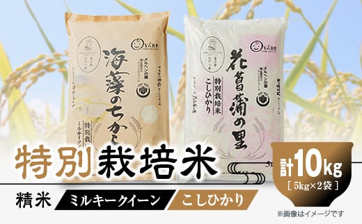 ʍ͔|10kg(/~L[NC[ERVqJ@e5kg)y1290532zxRs31000āEp