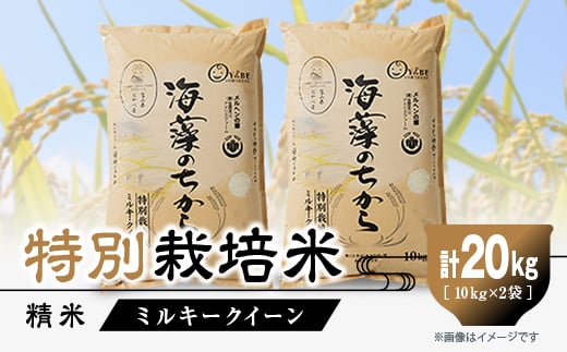 特別栽培米20kg (精米/ミルキークイーン10kg×2)【1290533】富山県小矢部市54000米・パン白米