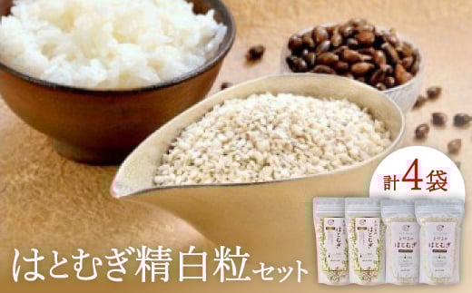 はとむぎ精白粒セット(大粒200g×2袋、砕粒500g×2袋)【1291665】富山県小矢部市12000鍋セット・総菜・加工食品その他 鍋セット・総菜・加工食品