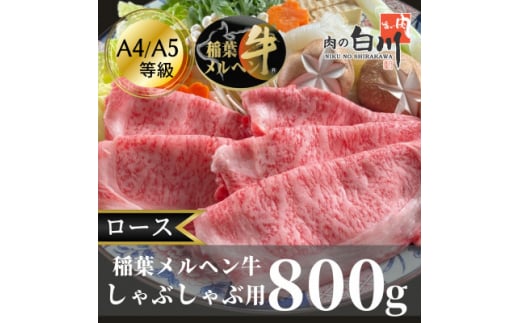 稲葉メルヘン牛(A4-A5)しゃぶしゃぶ用 ロース800g【1291578】富山県小矢部市50000肉牛肉