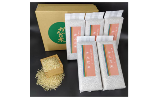 <毎月定期便>鮮度の米 かんだ米『コシヒカリ』玄米 真空パック 1kg×5袋全6回【4053221】富山県小矢部市134000米・パン玄米・雑穀米・もち米・餅