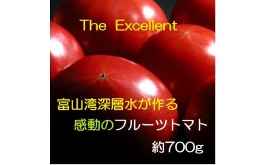 お試しサイズ!フルーツトマト「深層水トマト」約700g【1650498】富山県小矢部市7000野菜・きのこトマト