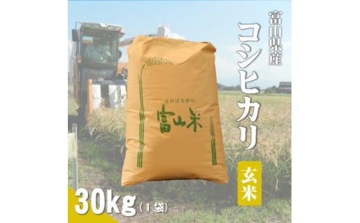 令和7年産「コシヒカリ」玄米30kg×1袋【1666609】富山県小矢部市63000米・パン玄米・雑穀米・もち米・餅