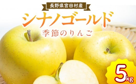 季節のりんご『シナノゴールド』(5kg)(予約制)(りんご 林檎 フルーツ ビタミン 果物 くだもの 上伊那 宮田村 長野 信州 甘い 新鮮 人気 ギフト 贈答 お祝い プレゼント 贈り物 特産