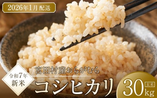 【予約受付】【令和7年米】【新米】長野県宮田村産コシヒカリ/玄米/30kg・69,000円/令和8年1月配送長野県宮田村69000米・パン玄米・雑穀米・もち米・餅