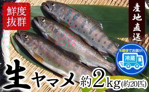 } 2kg 20C R]}Ygs30ȓɏoח\(yj)t} R R 2kg 20C   Ni  ①֌F{R]22500ECYN